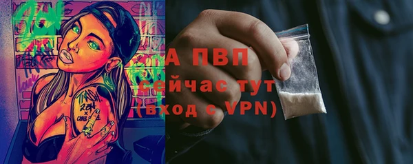 соль ск Богородск