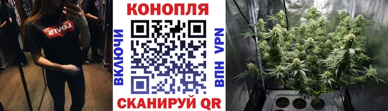 МАРИХУАНА семена  kraken вход  Верхняя Тура  купить закладку 